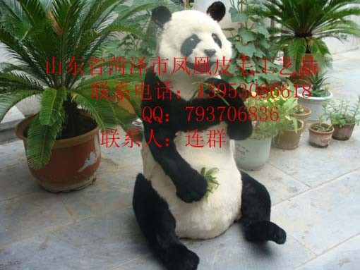 供应仿真动物模型仿真动物制作加工
